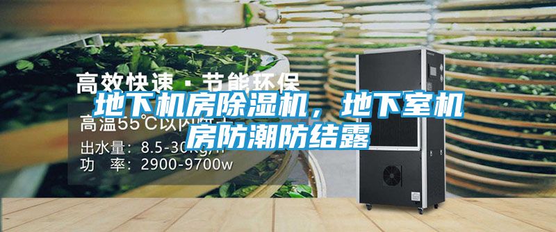 地下机房除湿机，地下室机房防潮防结露