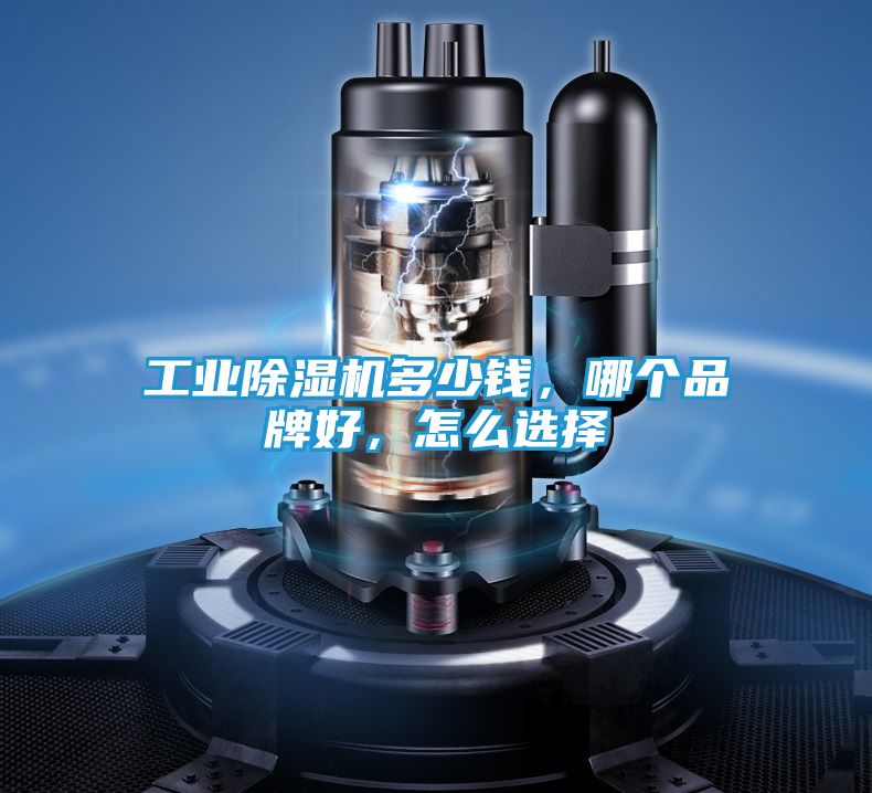 工业除湿机多少钱，哪个品牌好，怎么选择