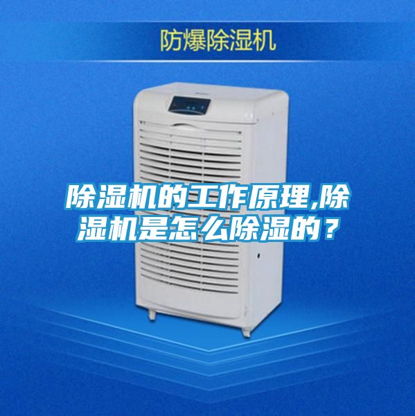 除湿机的工作原理,除湿机是怎么除湿的？