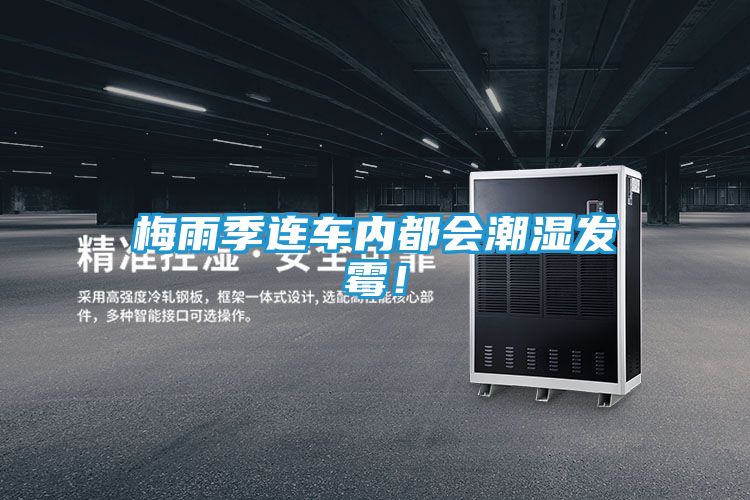 梅雨季连车内都会潮湿发霉！