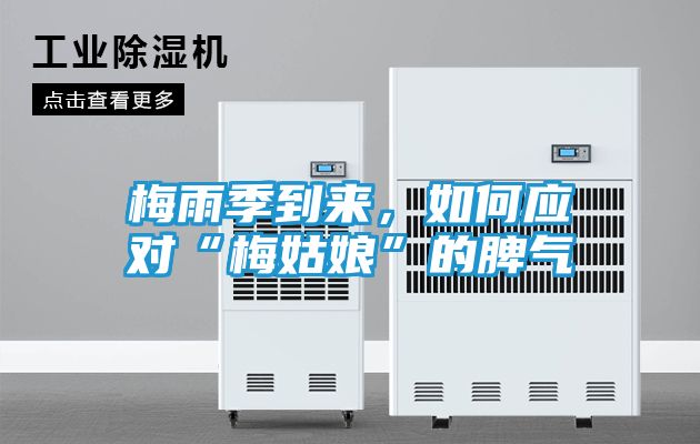 梅雨季到来，如何应对“梅姑娘”的脾气