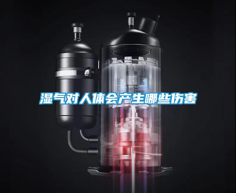 湿气对人体会产生哪些伤害