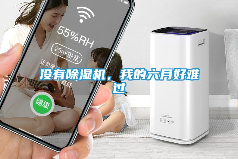 没有除湿机，我的六月好难过
