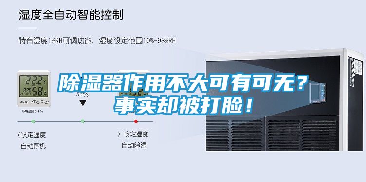 除湿器作用不大可有可无？事实却被打脸！