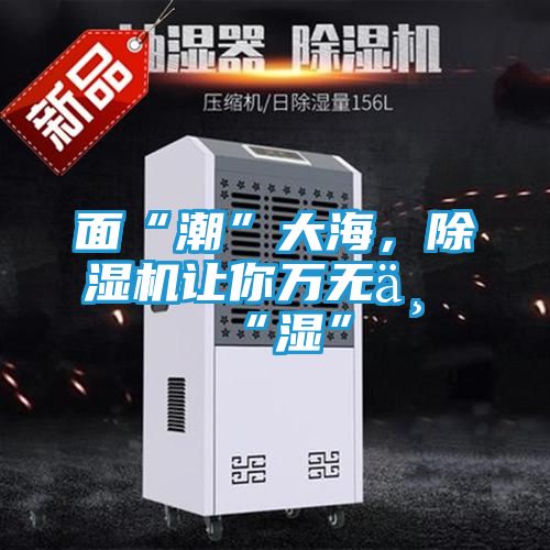 面“潮”大海,除湿机让你万无一“湿”