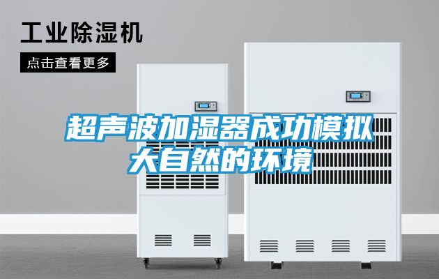 超声波加湿器成功模拟大自然的环境