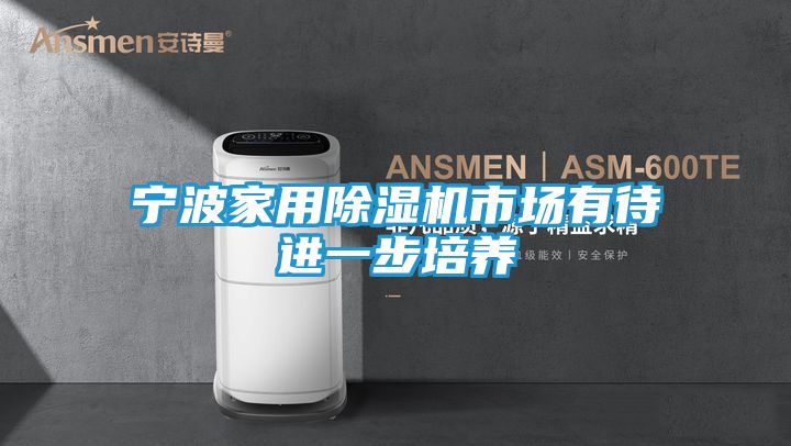 宁波家用除湿机市场有待进一步培养