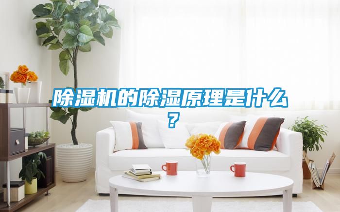 除湿机的除湿原理是什么？