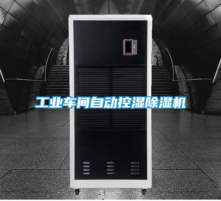 工业车间自动控湿除湿机
