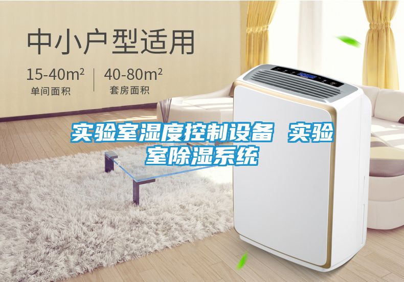 实验室湿度控制设备 实验室除湿系统