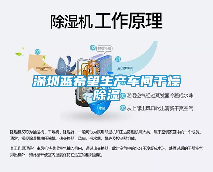 深圳蓝希望生产车间干燥除湿
