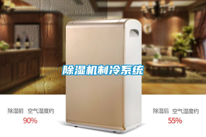 除湿机制冷系统