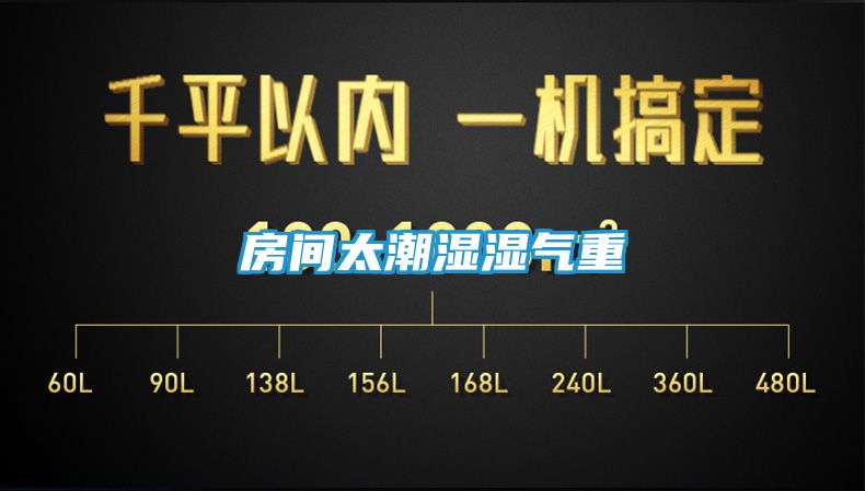 房间太潮湿湿气重