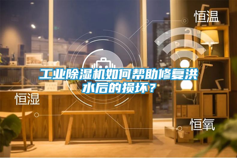 工业除湿机如何帮助修复洪水后的损坏？