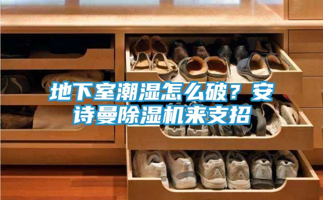 地下室潮湿怎么破？安诗曼除湿机来支招