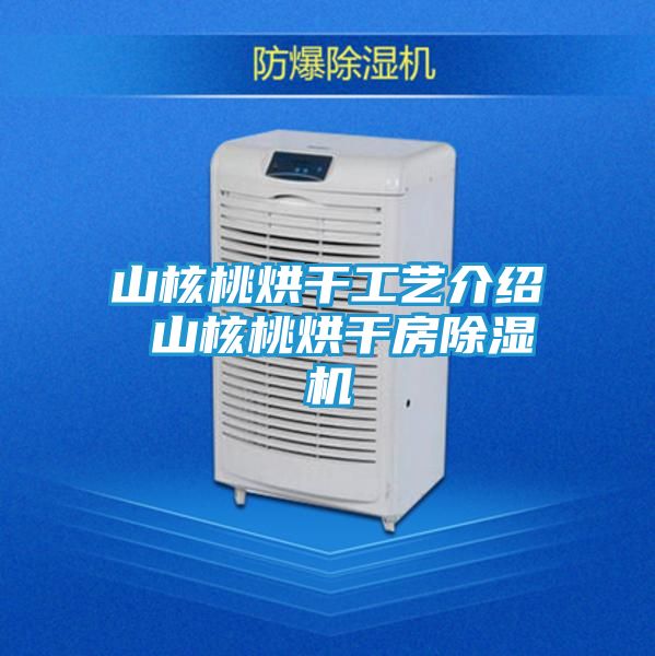 山核桃烘干工艺介绍 山核桃烘干房除湿机