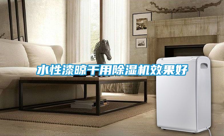 水性漆晾干用除湿机效果好