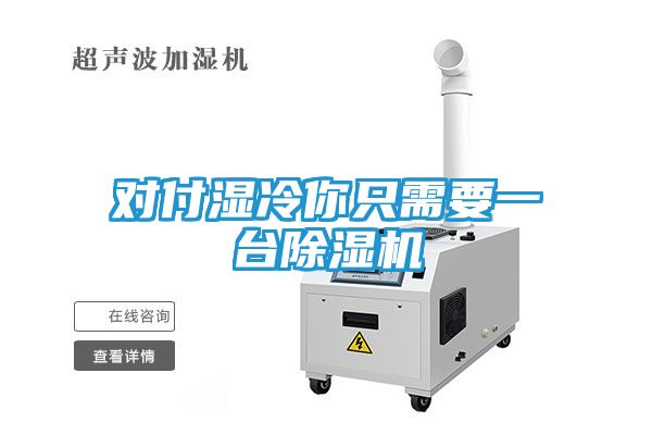 对付湿冷你只需要一台除湿机