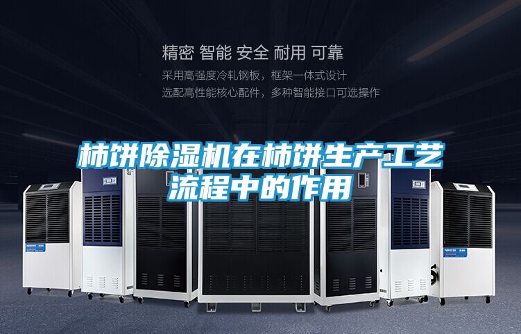 柿饼除湿机在柿饼生产工艺流程中的作用