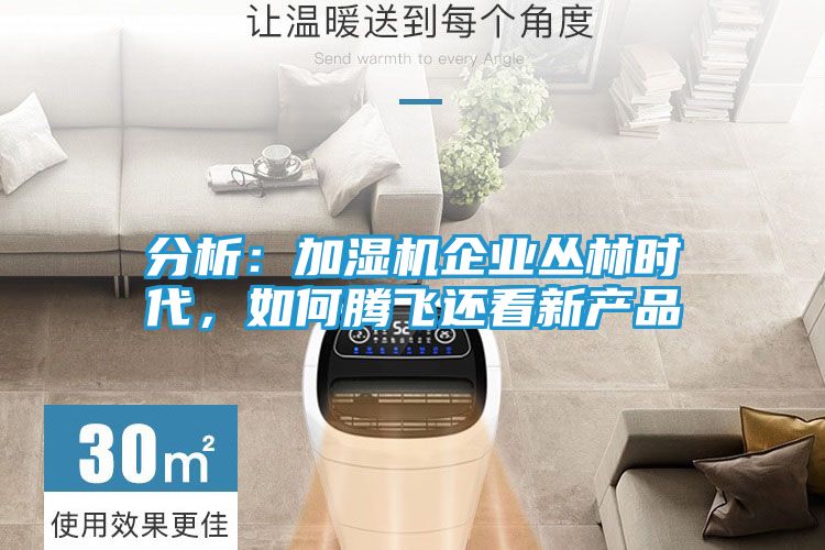分析：加湿机企业丛林时代，如何腾飞还看新产品