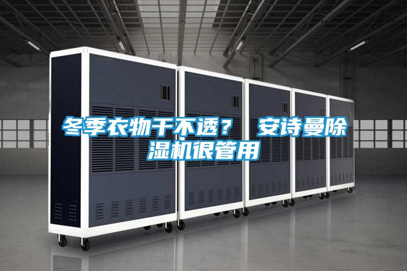 冬季衣物干不透？ 安诗曼除湿机很管用