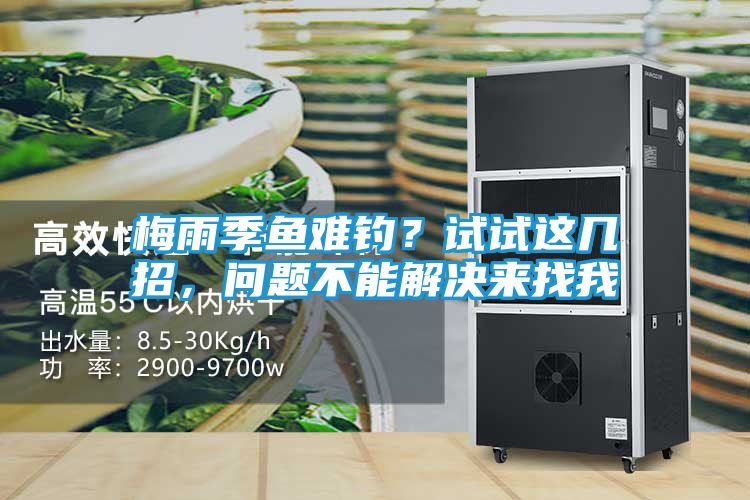 梅雨季鱼难钓？试试这几招，问题不能解决来找我