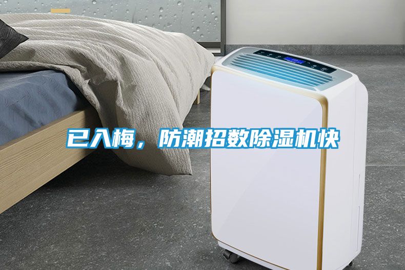 已入梅，防潮招数除湿机快