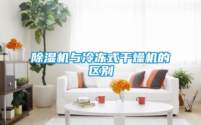 除湿机与冷冻式干燥机的区别
