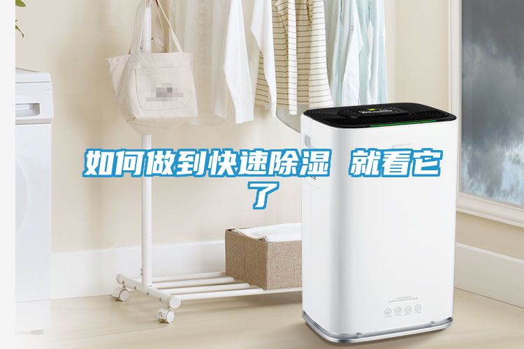 如何做到快速除湿 就看它了