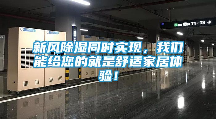 新风除湿同时实现，我们能给您的就是舒适家居体验！