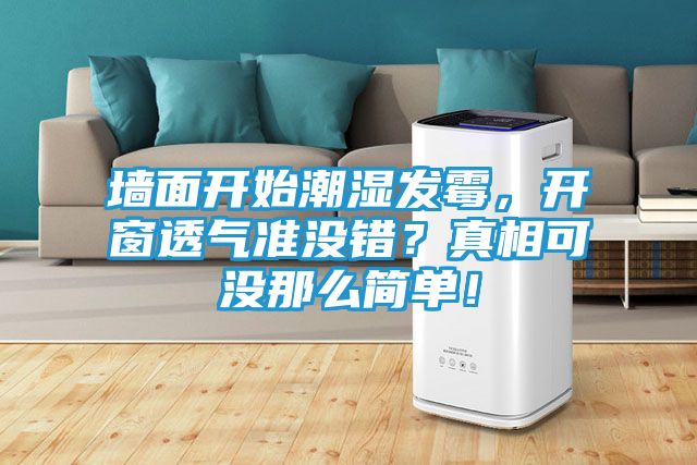 墙面开始潮湿发霉,开窗透气准没错?真相可没那么简单!