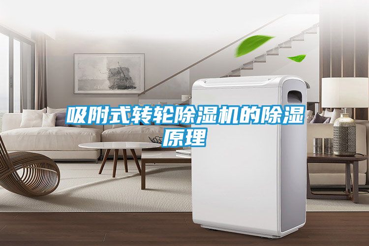 吸附式转轮除湿机的除湿原理