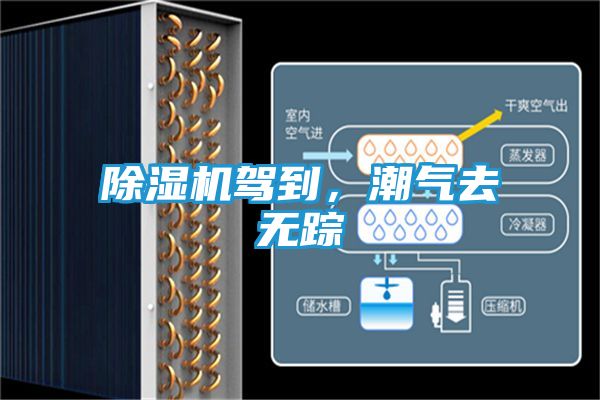 除湿机驾到，潮气去无踪