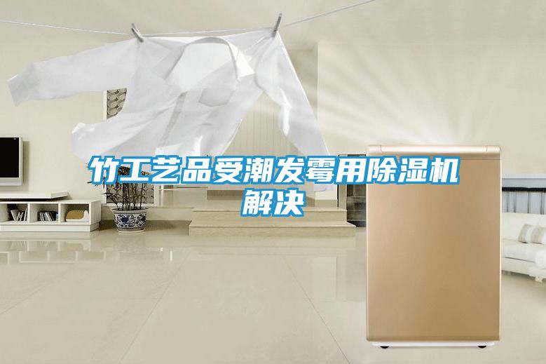 竹工艺品受潮发霉用除湿机解决