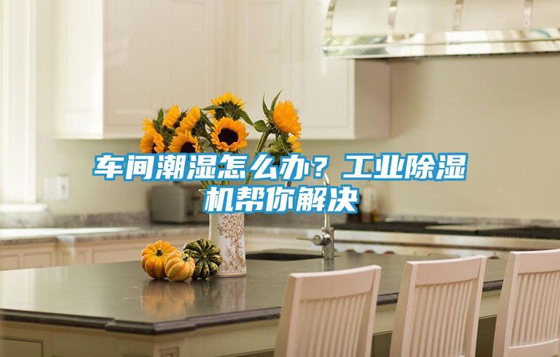 车间潮湿怎么办？工业除湿机帮你解决