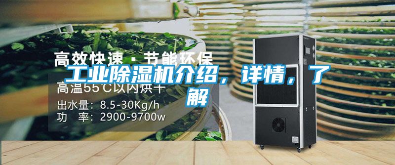 工业除湿机介绍，详情，了解