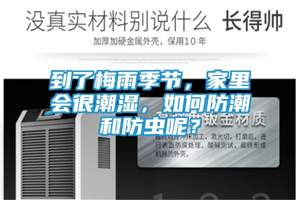 到了梅雨季节，家里会很潮湿，如何防潮和防虫呢？