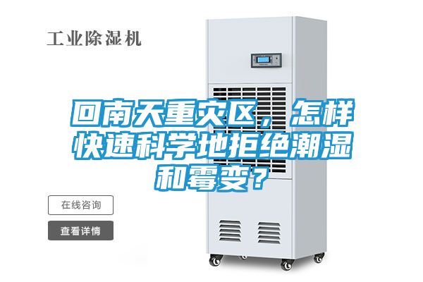 回南天重灾区,怎样快速科学地拒绝潮湿和霉变?