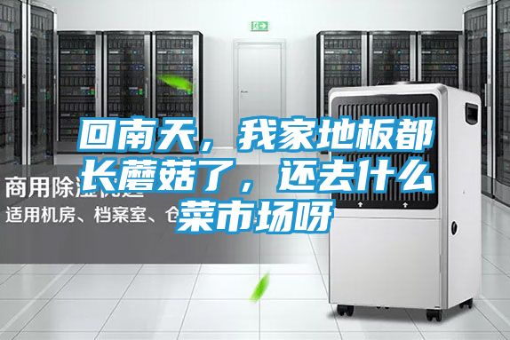 回南天，我家地板都长蘑菇了，还去什么菜市场呀