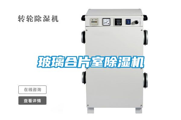 玻璃合片室除湿机