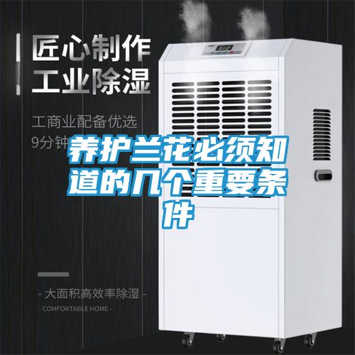 养护兰花必须知道的几个重要条件