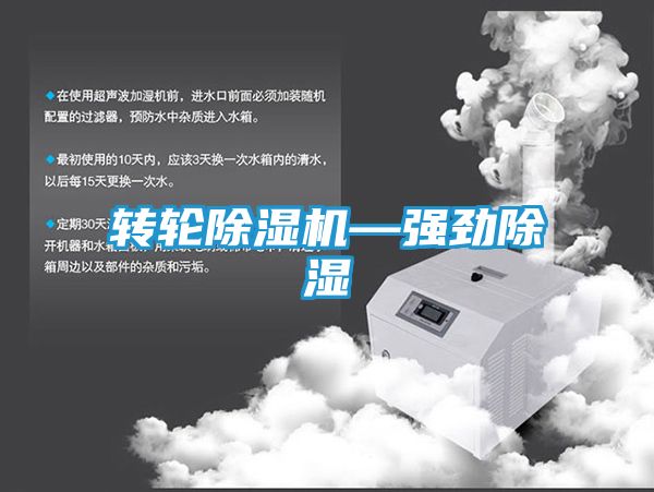 转轮除湿机—强劲除湿
