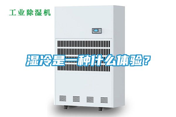 湿冷是一种什么体验？