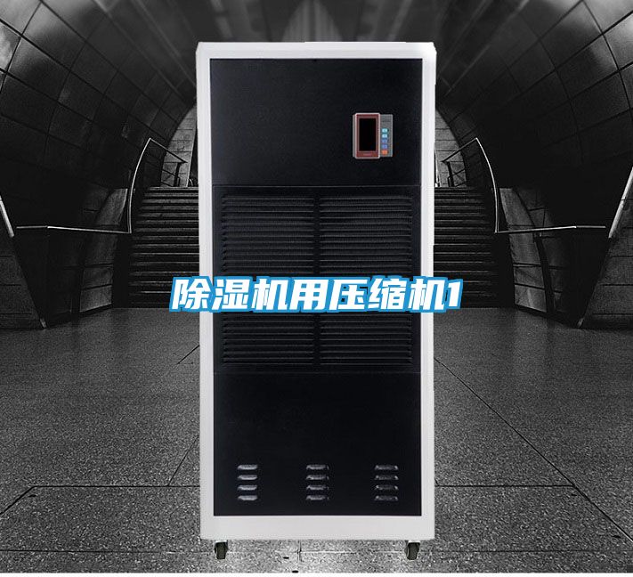 除湿机用压缩机1