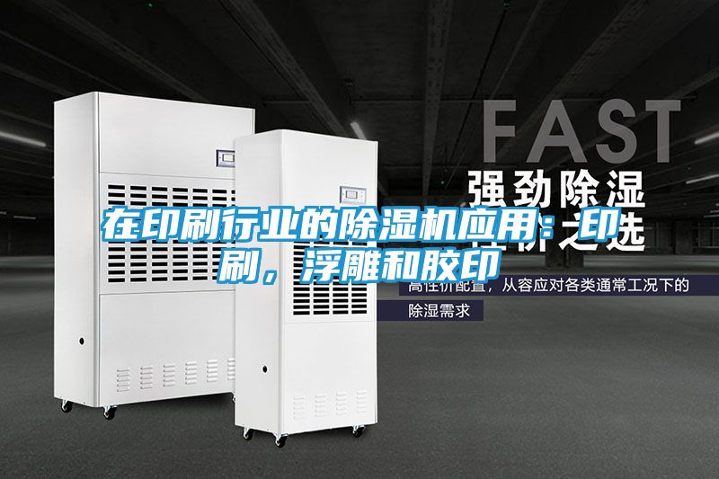 在印刷行业的除湿机应用：印刷，浮雕和胶印