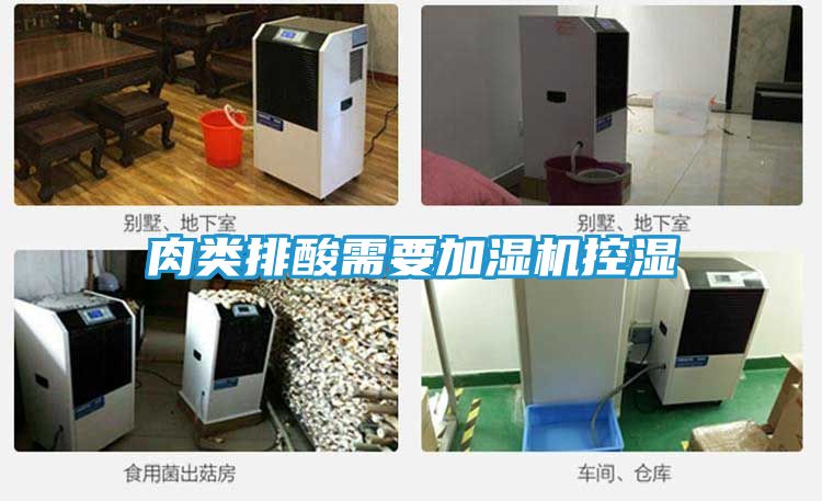 肉类排酸需要加湿机控湿