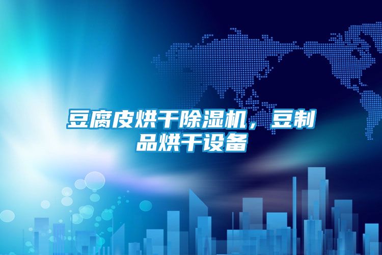 豆腐皮烘干除湿机，豆制品烘干设备