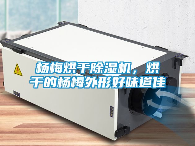 杨梅烘干除湿机，烘干的杨梅外形好味道佳