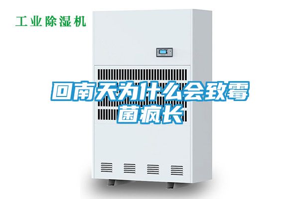 回南天为什么会致霉菌疯长
