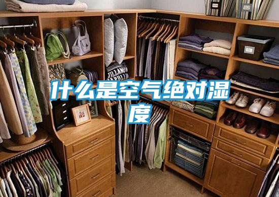 什么是空气绝对湿度